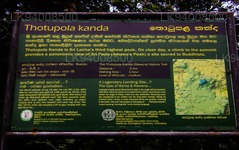 Thotupola Kanda