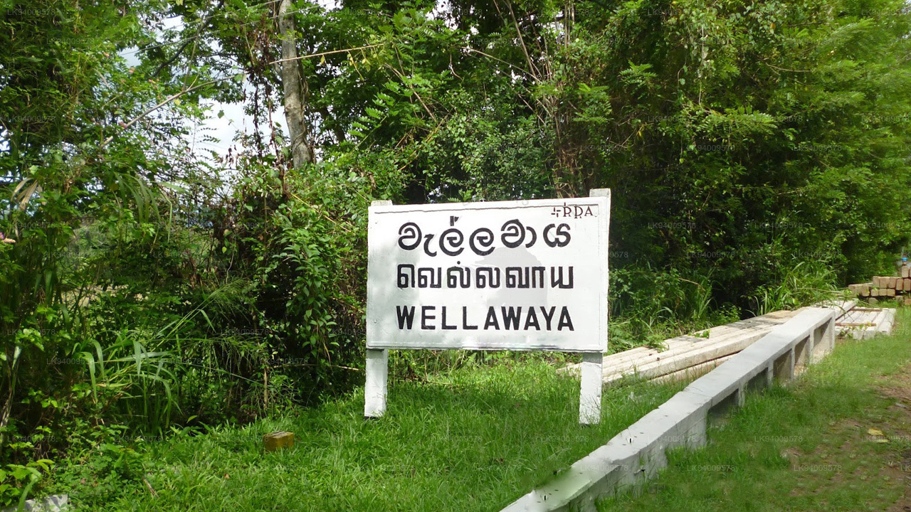 Wellawaya